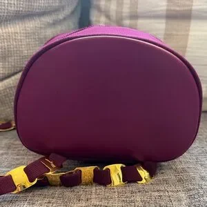 Salvatore Ferragamo | Bags | Salvatore Ferragamo Small  display picture 1